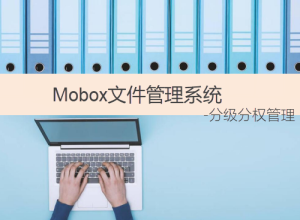 企業文件管理軟件-實現分級分權文檔安全管控